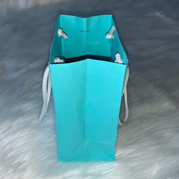 Authentic Tiffany & Co. Gift Bag 6" x 5" x 3" - Picture 5 of 8